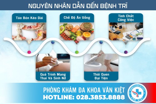 Giải đáp tất tần tật về bệnh trĩ mà người bệnh cần phải biết